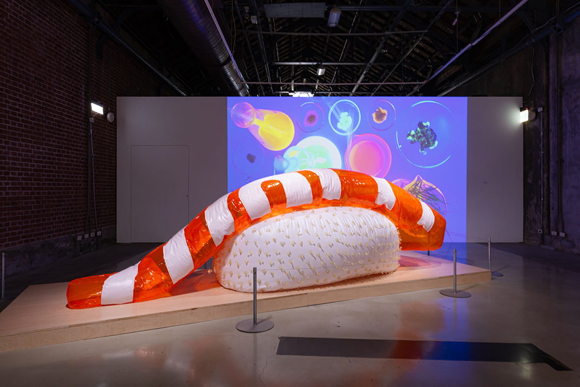 323a1755-%e6%8b%b7%e8%b2%9d